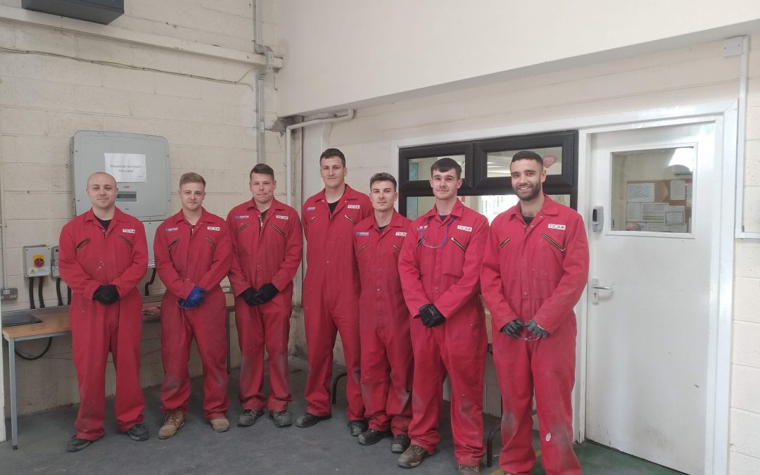 TICA Apprentice of the Year Finalists are Revealed