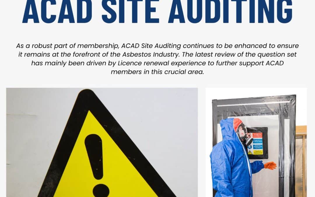 ACAD Audit Newsletter – Rave Reviews!